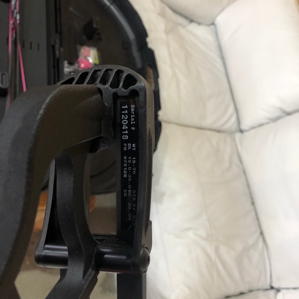 Hoyt compound Bow